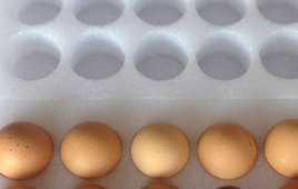 珍珠棉蛋托細節展示