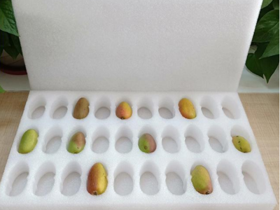 珍珠棉內(nèi)托